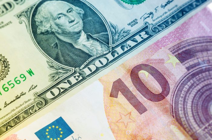 Euros euro fifty banknotes videohive preview