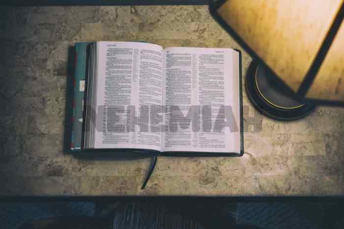 Nehemiah 8 questions and answers