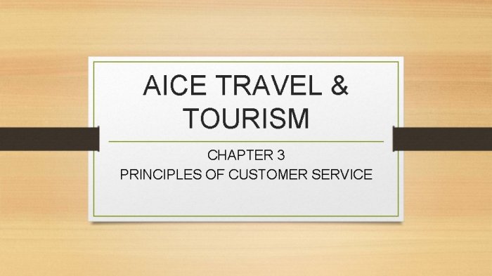 Aice travel and tourism syllabus