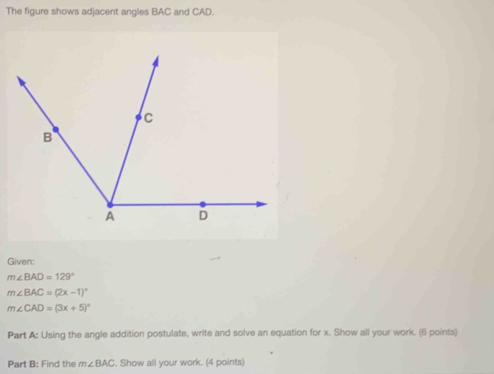 The figure shows adjacent angles bac and cad