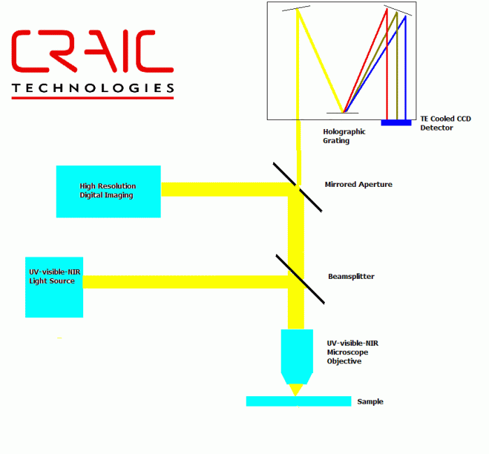 A microspectrophotometer measures the pattern of