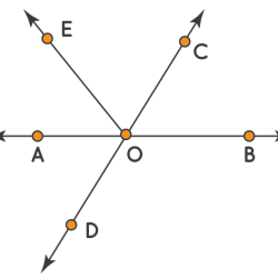 Angles adjacent vertically linear opposite pair name ex pairs figure obtuse