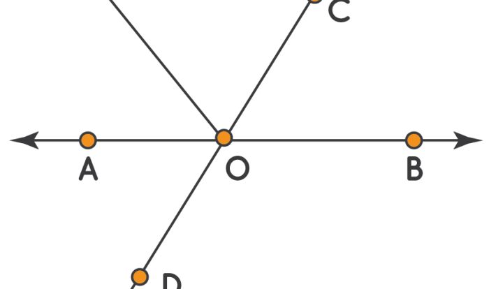 Angles adjacent vertically linear opposite pair name ex pairs figure obtuse